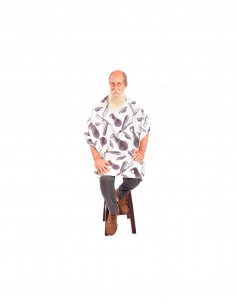 EUROStil Capa Barbero...